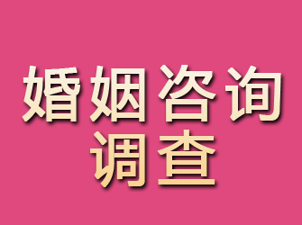 本溪婚姻咨询调查